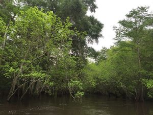 11060873_10206730418438230_7884236473991012495_n.html