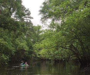 10409055_10206730440398779_8363274998312224221_n.html