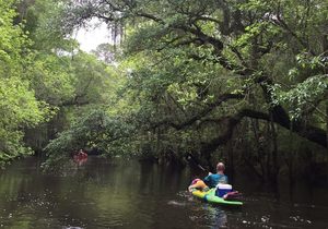 11165086_10206730438358728_1607607750587722520_n.html