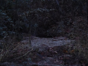 A small sinkhole in the side of the road?