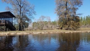 BBQ? 31.0761737, -83.0523524