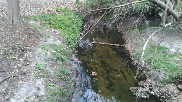 One Mile Creek