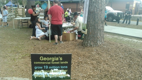 Georgias commercial forest lands....