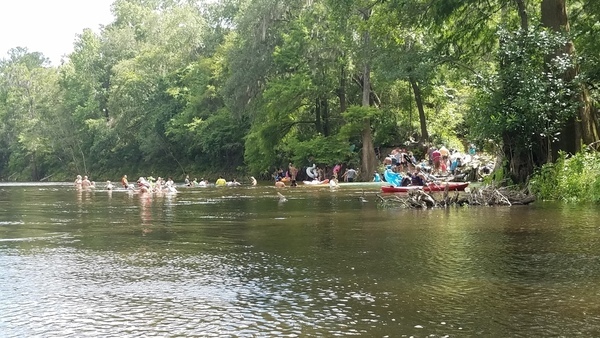 Saturday crowd at Madison Blue Spring,