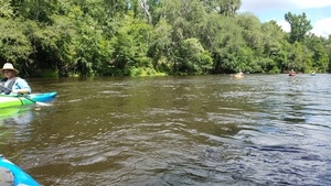 No problem, 30.5689227, -83.2619890