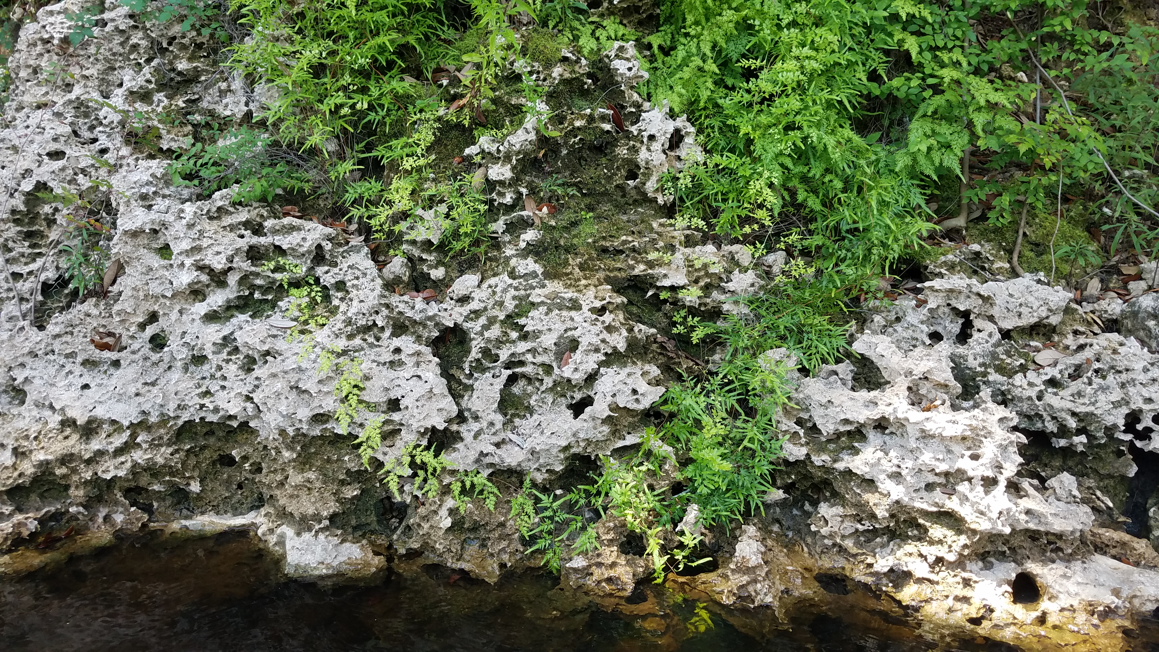 20170624_132547-jpg