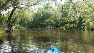 Rock dock, 30.4924088, -83.2445702