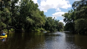 On downstream, 30.5028100, -83.2425400