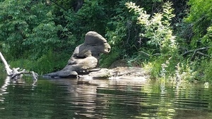 Gorilla rock, 30.4966763, -83.2419077