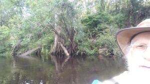 Remains of Belleville Bridge, Hamilton County, FL, 30.5955000, -83.2591400