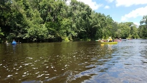 Everybody past island shoals, 30.5622205, -83.2560137