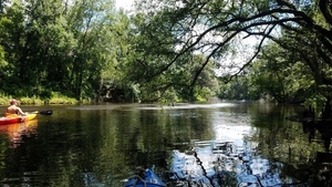 Under tree, 30.5048740, -83.2408712