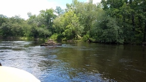 Mid-stream rock, 30.5131016, -83.2447605