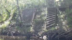 Completely fallen dock, 30.5027200, -83.2425900