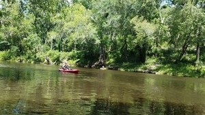 Some boards still sticking out, 30.5024100, -83.2426100