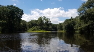 Island, 30.5634400, -83.2571800