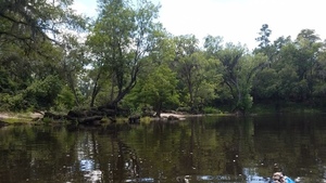 Stream marker, 30.5129772, -83.2450214