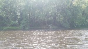 Ladder, 30.5928341, -83.2588421