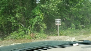 Twin Rivers State Forest, Sullivan Landing, 5776 NE Bellville Road, 30.5961364, -83.2621522