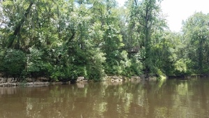 Steel deck, east bank, 30.5368461, -83.2467964