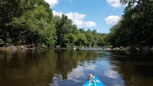 Around some rocks, 30.4954100, -83.2412300