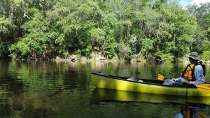 A dock, 30.5956600, -83.2591600