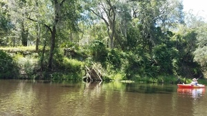 Stairs, 30.5021500, -83.2427400