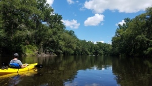 Seeing around the bend, 30.5030700, -83.2424300
