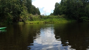 Power line, left bank, 30.5203671, -83.2399187