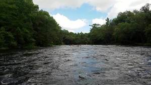 Movie: We have a swimmer, 30.5679200, -83.2608200