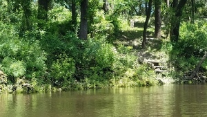 Metal steps, left bank, 30.5028600, -83.2425100