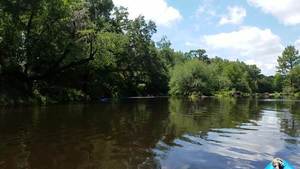 Movie: Tom then Julie through the rapids (72M), 30.5622121, -83.2560027